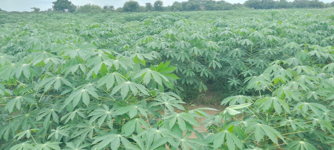 Agricultural training for women